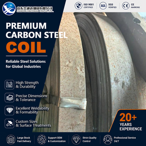 Tira de Acero al Carbono EN 10025 para Construcción, Laminada en Frío y en Caliente, de 50 mm a 1000 mm, para Desbobinado y Corte (SPHD) - Product Image 1
