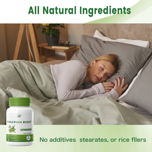 Haccp OEM Suplemento Dietético Raiz <span class=keywords><strong>Valeriana</strong></span> <span class=keywords><strong>officinalis</strong></span> 500 mg Suplemento Herbal Veg Cápsulas - Product Image 3