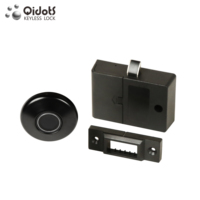 Serrure intelligente miniature pour armoire et tiroir, compatible avec les portes en bois, en alliage de zinc, avec lecteur d'empreintes digitales, fabrication chinoise