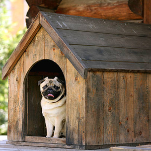 Commercio all'ingrosso impermeabile esterna di case di legno di lusso gabbia dell'animale domestico letto di casa grande cuccia per cani - Product Image 5