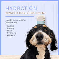 Poudre d'électrolyte d'hydratation rapide OEM/ODM pour chiens-Formule vétérinaire, arrête la déshydratation due à la diarrhée, aux vomissements et à la chaleur