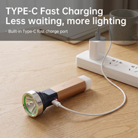 Lampe torche à poignée métallique rechargeable Type C avec faisceau avant focalisé et lanterne arrière à large faisceau pour le camping et les situations d'urgence