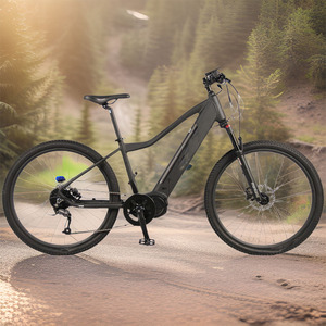 Vélo électrique de croisière <span class=keywords><strong>pas</strong></span> <span class=keywords><strong>cher</strong></span> de 26 pouces, fabriqué en Chine, vélo électrique de montagne - Product Image 2