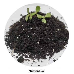 Bloc de cocopeat écologique, biodégradable, riche en nutriments, engrais pour les légumes et l'agriculture - Product Image 2
