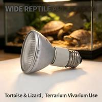 Lampe chauffante pour reptiles, éclairage d'habitat pour reptiles, lampe chauffante PAR20 à halogénures métalliques