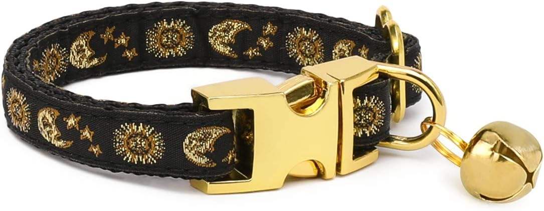 XX - Small (Pack of 1)