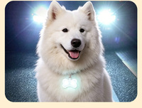 Pendentif lumineux LED à clipser pour animaux de compagnie, en plastique, avec motif imprimé, 3 modes d'éclairage, collier lumineux anti-perte pour promenade nocturne