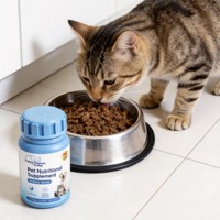 Comprimés Probiotiques pour Chiens et Chats – Soin Gastrique pour Animaux de Compagnie – Équilibre Naturel de la Flore Intestinale – Stimule l'Appétit – Soulage la Digestion – Apaise les Douleurs Intestinales