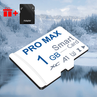 Tarjeta de Memoria TF Original de Alta Velocidad C10 U3 de 4 GB, 8 GB, 16 GB, 32 GB, Tarjeta SD de 512 MB, 1 GB, 2 GB para Cámara/Monitor Profesional