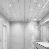 Panneau de douche intérieur en PVC, plaque de marbre, décoration pour la maison, ignifuge, écologique, panneau de plafond