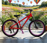 Vélo Dirt Jump Stunt MTB, Vélo à frein à disque avec jantes en alliage couleur assortie pour le cyclisme freestyle en park, vente en gros