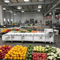 Beste Prijs Hoge Efficiëntie 304 Roestvrijstalen Frites En Aardappelchips Blancheermachine Voor Fruit-En Groenteverwerking