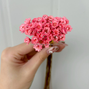 Stella brasiliana fiori secchi conservati fiori piccola montagna margherita corona popolare decorazioni di natale e ringraziamento - Product Image 3