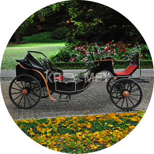 Wholesale Luxury Four-Wheel Royal Electric Carriage Elegant Sightseeing Royal Horse Carriage-<b>Special</b> <b>Transportation</b> - Product Image 4
