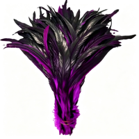 Plumes de coq de 25-30 cm pour artisanat, bricolage, costumes, accessoires de chapeau, déguisements, fêtes, carnaval, décorations de mariage