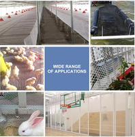 Grillage en plastique pour sol de cage à poulets de chair – Équipement d'élevage avicole