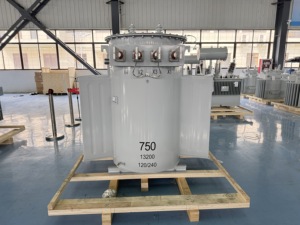 Bobina Toroidal de 750 kVA 13.2 kV Li0 con Bobinado de Aluminio y Cobre, Monofásica, Sumergida en Aceite, ISO CE 220V 50/60Hz D-M, Capacidad de 50 kVA - Product Image 4