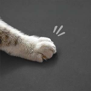 2025 Hot Sales Rubber Waterproof Pet Feeding Mat <span class=keywords><strong>Dog</strong></span> Water Bowl Mat Non-Slip Quick Dry Cat Mat para Alimentos - Product Image 3