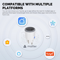 Prise intelligente WiFi SLS Matter Protocol 16A avec moniteur d'énergie, compatible Tuya, Alexa, Google Home, Apple Homekit, en plastique