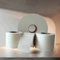 Papier filtre pour sachet de thé thermoscellable 2026 en provenance de Chine