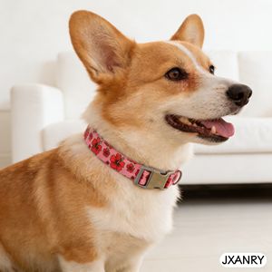JXANRY Productos <span class=keywords><strong>para</strong></span> Mascotas - Correa de Pecho <span class=keywords><strong>para</strong></span> Perro con Bordado por Transferencia Térmica, Collar de Nailon con Cierre de Hebilla <span class=keywords><strong>para</strong></span> Pasear <span class=keywords><strong>Perros</strong></span> - Product Image 2