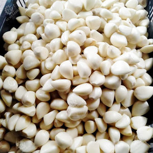 Éplucheur d'ail multifonction 30KG/H avec réglage réglable Machine <span class=keywords><strong>à</strong></span> éplucher l'ail pour la manipulation automatisée de l'ail - Product Image 5