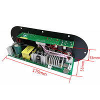 Amplificateur de voiture numérique mono D350 Mini pour sortie 5.0 100-300W, double entrée MIC AUX, alimentation 12V/220V, subwoofer