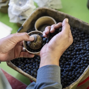Machine à feux d'artifices, Machine pour la fabrication de tubes, les coquillages de <span class=keywords><strong>tigre</strong></span> et de saule - Product Image 4