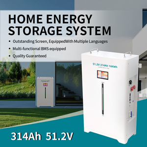 EN STOCK EN LA UE: Baterías de Almacenamiento de Energía Solar de 48V 51.2V con 8000 Ciclos, Celdas de Batería de 314ah, Sistemas de Almacenamiento de Energía Doméstica de 16kw - Product Image 3