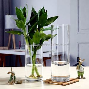 Jarrón de Vidrio Cilíndrico Alto, Moderno, Transparente, de Alta Calidad, para Decoración del Hogar, Diseño Simple, para Flores, Venta al Por Mayor de Fábrica, Económico - Product Image 4