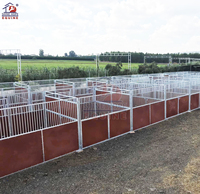 Shinehope Nouvelle Construction de Box à Chevaux en Acier, Étable Portable pour Chevaux, Emballé sur Palette