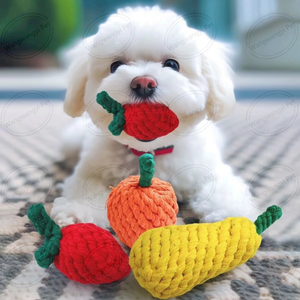 Jouet en corde tressée pour chien en gros Jouet à mâcher en corde de coton naturel pour chien - Product Image 5