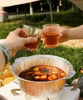 Plat en aluminium jetable avec couvercle, 950 ml, pour cuisson, voyage, camping, chauffage