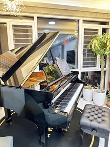 Pianoforte a Coda Professionale in Legno Nero Lucido con 88 Tasti Acustici, con Panca, Strumento Musicale per Hall <span class=keywords><strong>di</strong></span> Hotel - Product Image 2