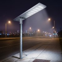 Lampadaire Solaire LED WERISE IP65 Éclairage Extérieur Tout-en-un avec Contrôle MPPT et IA pour Projets Routiers