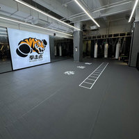 Tapis de sol de protection en cuir Composite XPE écologique de 10mm d'épaisseur pour la gymnastique danse Yoga Taekwondo Sanda Judo pliable