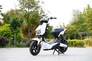 NUOVA Bici Elettrica per Adulti 500W 48V20AH, Bici Elettrica Biposto da Città ad Alta Velocità - Product Image 5
