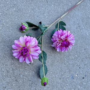 Serie Aritical Wedding: Planta Artificial Larga de Ratán para Colgar en la Pared, Simulación de Hierba para Reptiles con Flores - Product Image 6