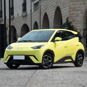 Tout nouveau byd seagull nouvelle énergie véhicules gamme de couleur verte 305km voiture électrique à bas <span class=keywords><strong>prix</strong></span> pour adulte - Product Image 4