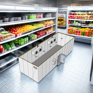 Balık ve et soğuk oda için kolay kullanımlı yürüyüş soğuk depolama odası dondurucu - Product Image 1