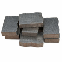 SS-S103 24*13/14*5.6/6.2mm Segments diamantés polis en forme de B, pièces d'outillage électrique OEM pour lame de coupe diamantée et lame de scie à granit