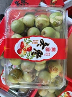 Verse Rode Date Chinese Zoete Date Verse Jujube