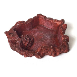 Crawler Pet Feeder Bát Lưu Vực Nhựa Không Độc Hại Thức Ăn Nước Nồi Bò Sát Rùa Rùa Bọ Cạp Thằn Lằn Cua Vật Nuôi Nguồn Cung Cấp - Product Image 2