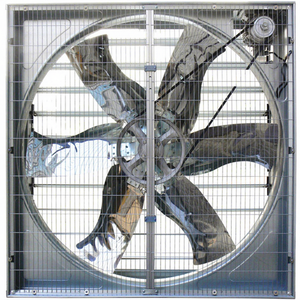 Ventilateur d'<span class=keywords><strong>extraction</strong></span> industriel mural de 54 pouces pour atelier, serre et élevage avicole - Product Image 1
