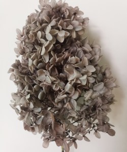 Commercio all'ingrosso Decorazione Conserve di Singoli Fiori di <span class=keywords><strong>Ortensia</strong></span> Legno <span class=keywords><strong>Ortensia</strong></span> Per La Decorazione Domestica - Product Image 4