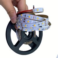 Bande LED néon intelligente SMD2835 flexible pour éclairage paysager, télécommande, intensité variable, température de couleur multiple, indice de protection IP65, DC24V