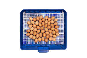 Borotto Lumia 56 incubateurs d'oeufs usage domestique automatique meilleur prix capacité de 56 pièces, 224 pièces incubateur d'oeufs pour vente d'oeufs de faisan - Product Image 3