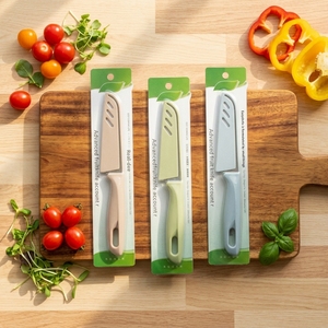 Stainless Steel Fruit Knife with Plastic Handle Portable Card Packaging Kitchen <b>Tool</b> for Household Use 2 Yuan Store Product - Product Image 1