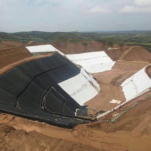 Thailand 1Mm Vijver Voering Voor Viskwekerij Vijver Waterreservoir Geomembraan Aquacultuur Meer Garnalen Visboerderij - Product Image 3