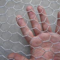 Filet en acier galvanisé revêtu de PVC hexagonal à armure simple tissé pour volailles et oiseaux, découpe/soudage pour l'agriculture, fabriqué dans le comté d'Anping